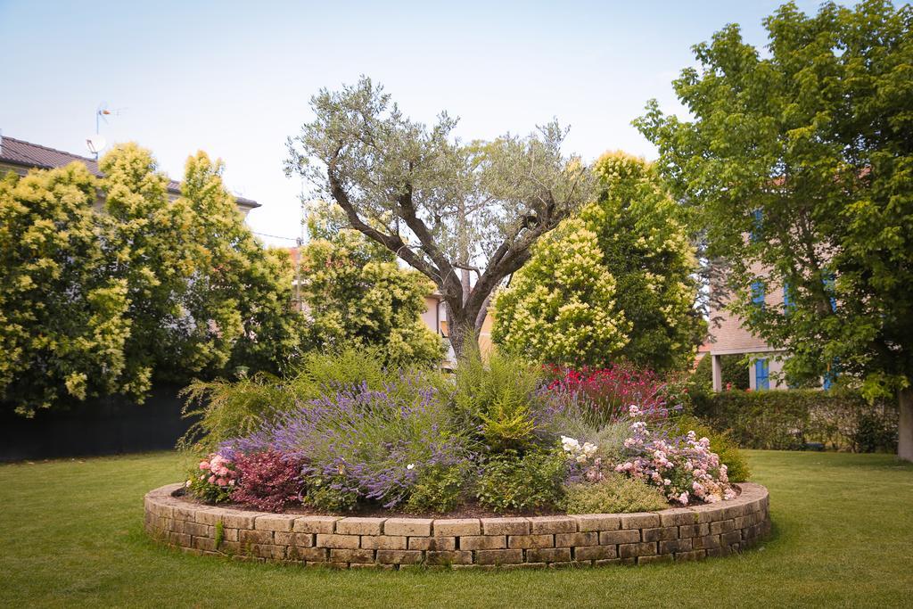 Hotel Ausonia Monte Porzio Extérieur photo